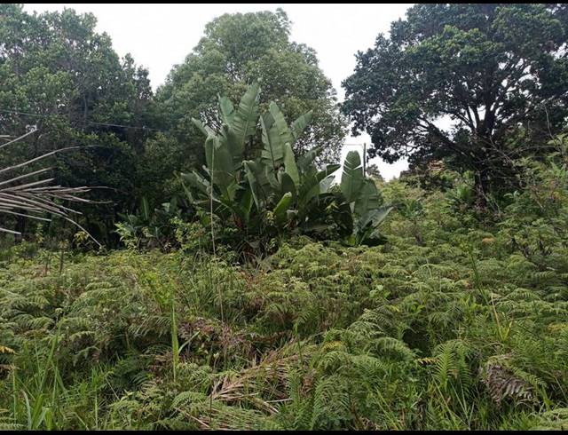 LAND FOR SALE IN PALM BEACH